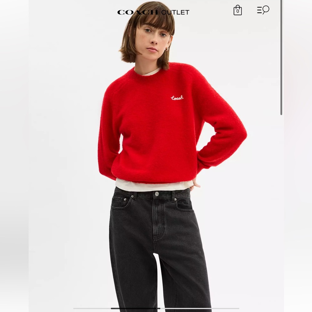 Coach Embroidered Crewneck Sweatshirt